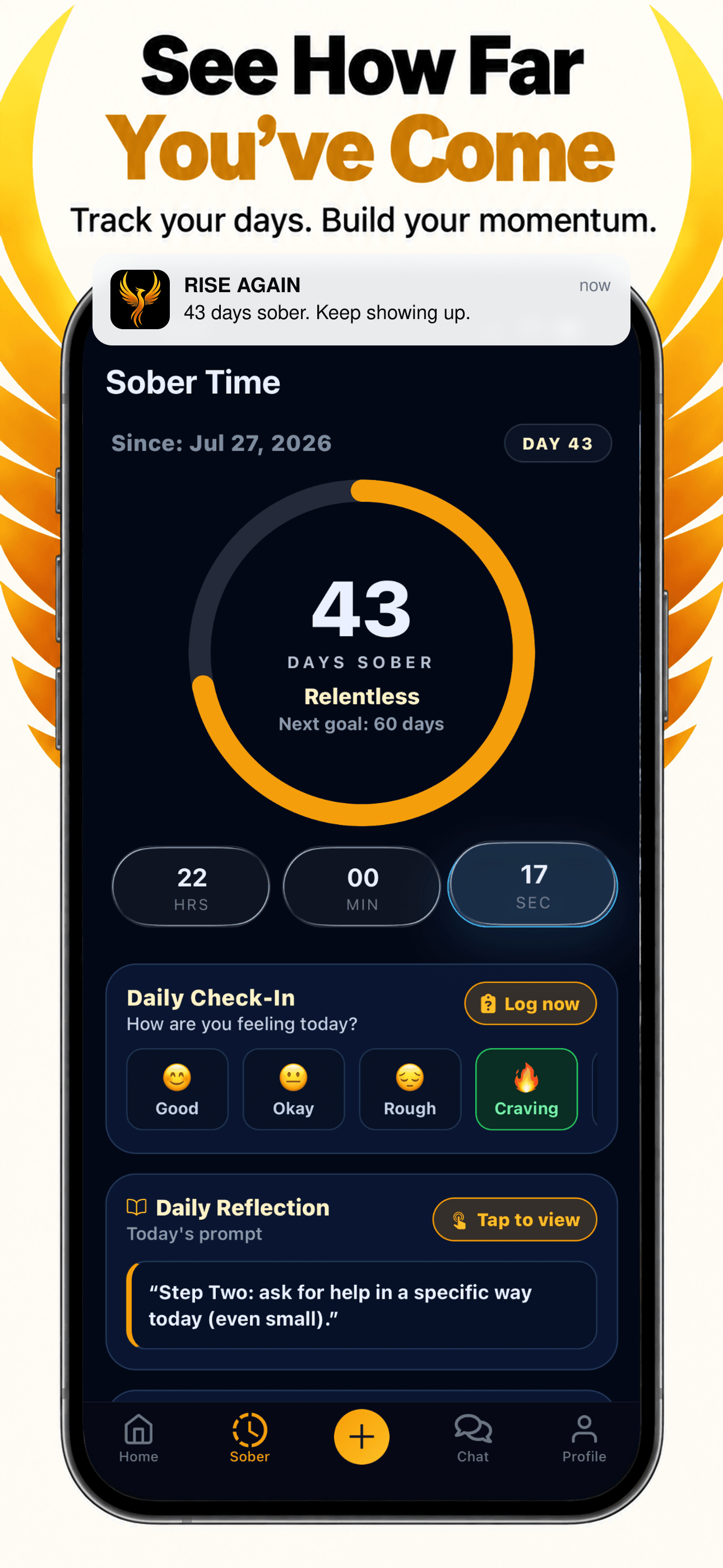 Rise Again: Quit Drinking app screen 2