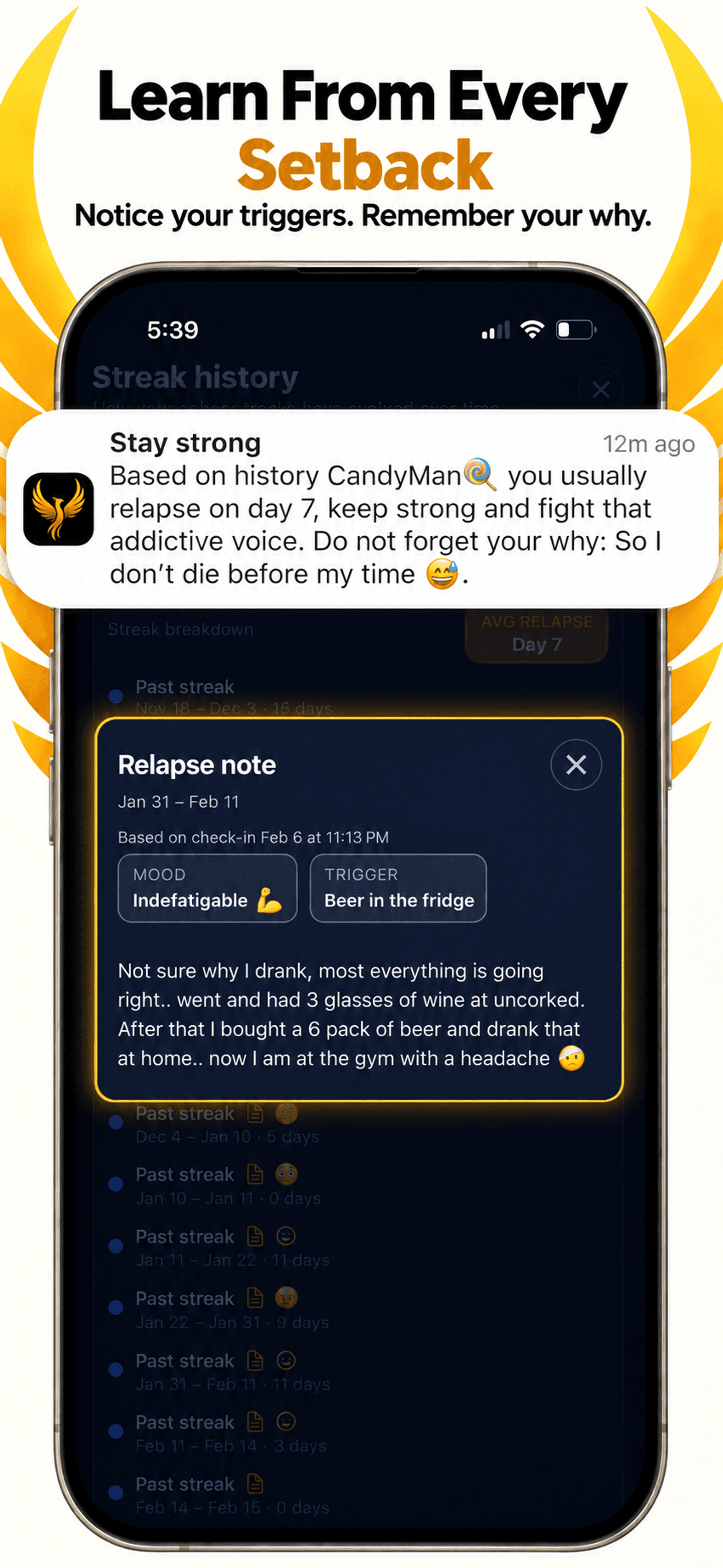 Rise Again: Quit Drinking app screen 9